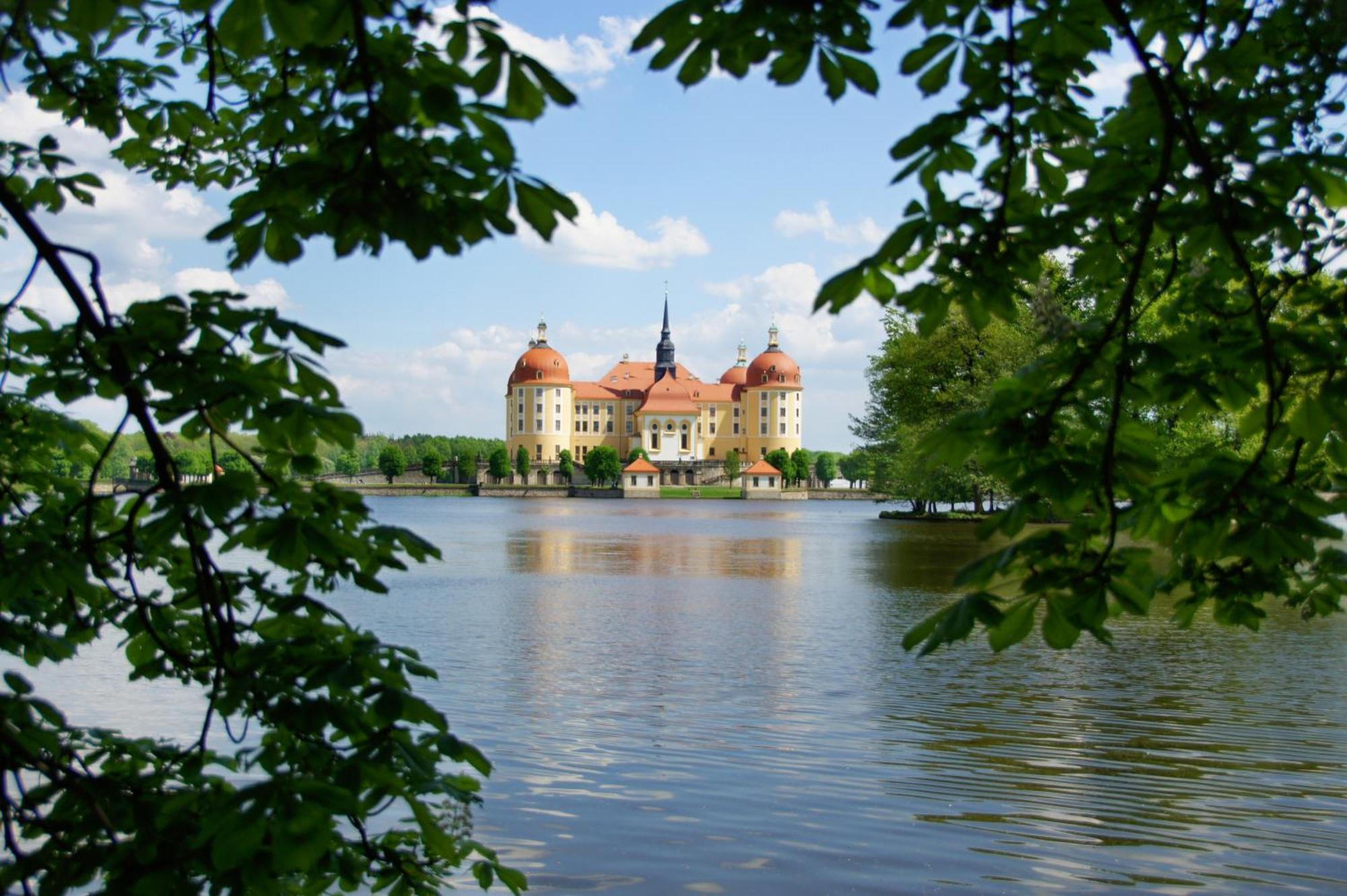 Schwalbennest Kaisitz Apartment Exterior photo
